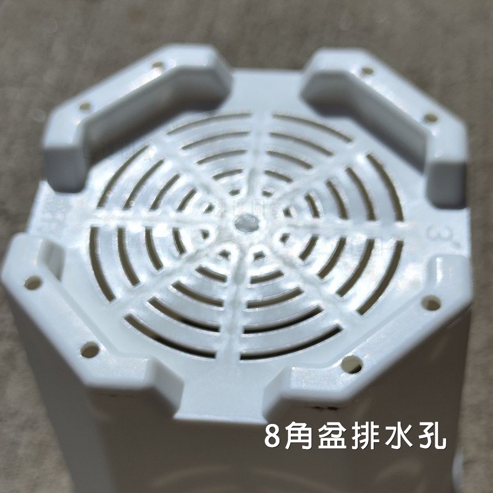 速達園藝 299全館免運 多肉八角盆 3吋 黑 白 透 MIT 家庭 蔬菜 水果 花卉 香草 蘭花 多肉 木本-細節圖5