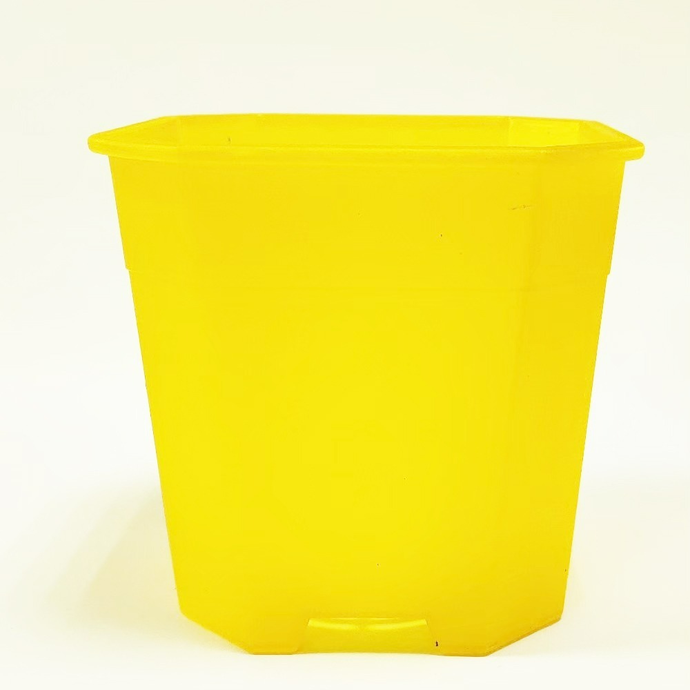 速達園藝 299全館免運 多肉八角盆 3吋 黑 白 透 MIT 家庭 蔬菜 水果 花卉 香草 蘭花 多肉 木本-規格圖5