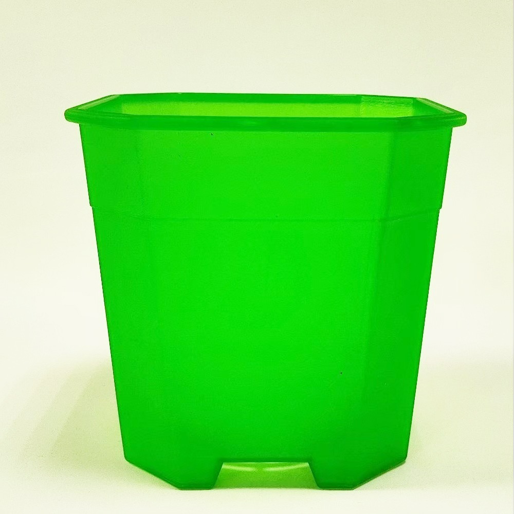 速達園藝 299全館免運 多肉八角盆 3吋 黑 白 透 MIT 家庭 蔬菜 水果 花卉 香草 蘭花 多肉 木本-規格圖5