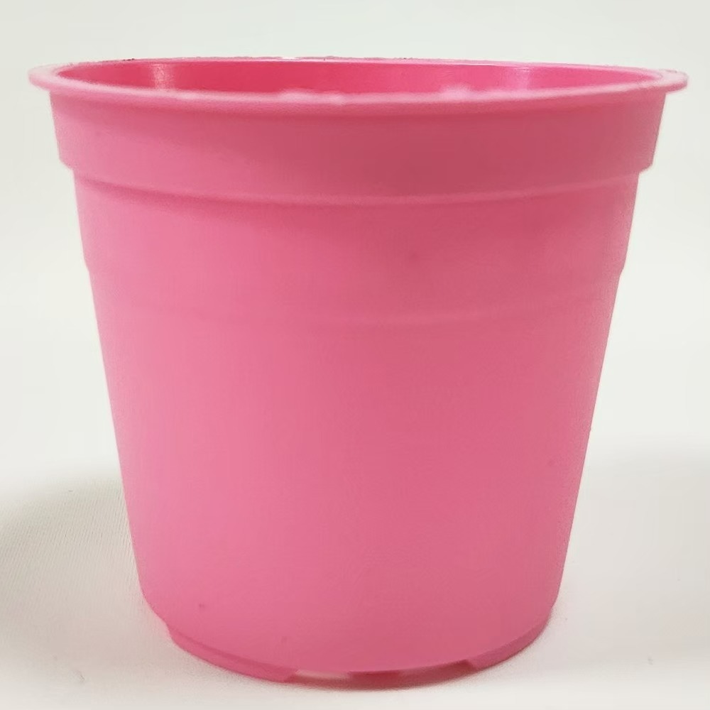 速達園藝 299全館免運 馬卡龍 2吋盆 紫 藍 綠 粉 黃  家庭 蔬菜 水果 花卉 香草 蘭花 多肉 木本-規格圖4