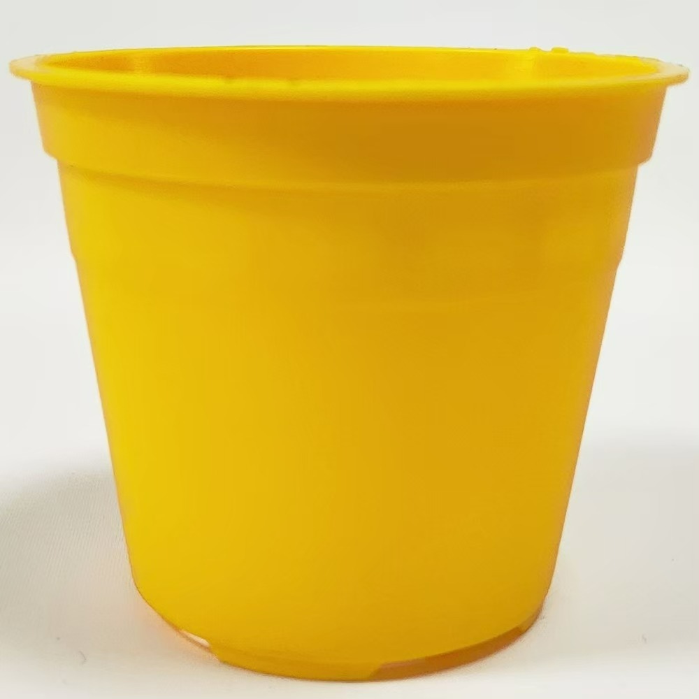 速達園藝 299全館免運 馬卡龍 2吋盆 紫 藍 綠 粉 黃  家庭 蔬菜 水果 花卉 香草 蘭花 多肉 木本-規格圖4