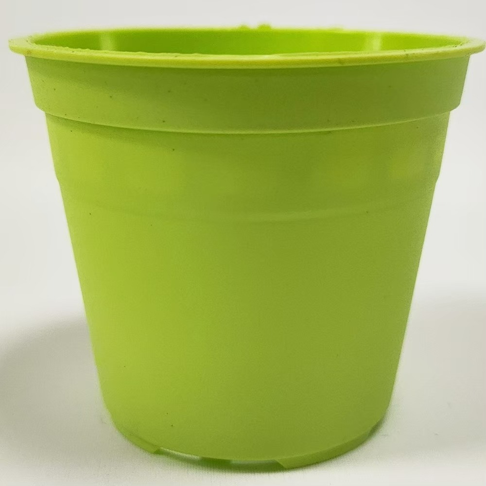 速達園藝 299全館免運 馬卡龍 2吋盆 紫 藍 綠 粉 黃  家庭 蔬菜 水果 花卉 香草 蘭花 多肉 木本-規格圖4