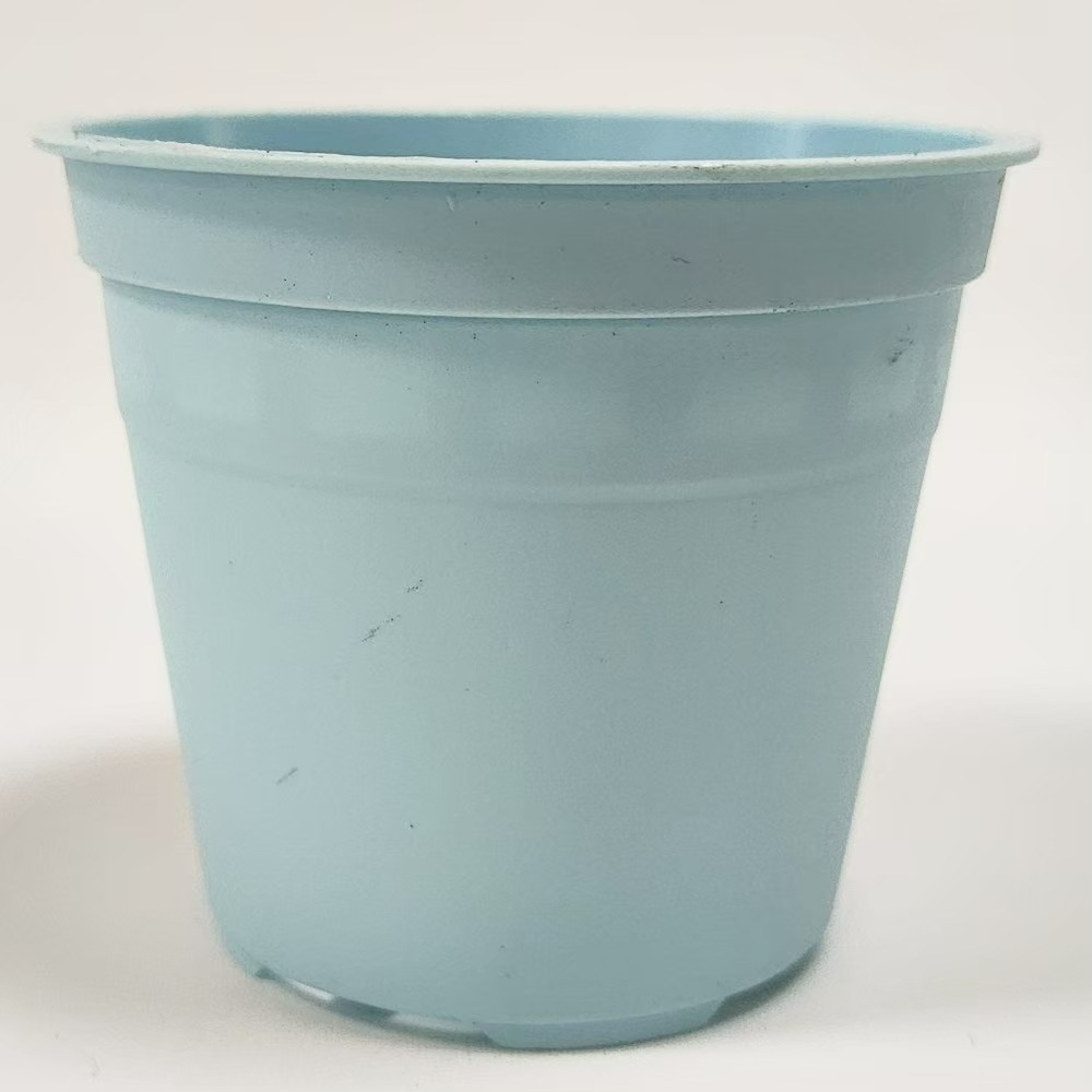 速達園藝 299全館免運 馬卡龍 2吋盆 紫 藍 綠 粉 黃  家庭 蔬菜 水果 花卉 香草 蘭花 多肉 木本-規格圖4