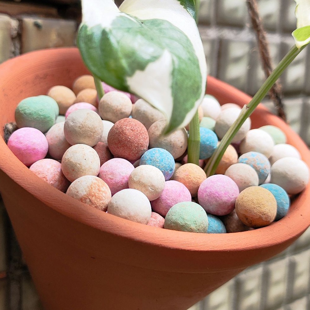 速達園藝 299全館免運  彩色陶粒 1kg  煉石 3公升 蘭花 氣根 介質 土 水耕 多肉 排水 保肥 保水 介質-細節圖2