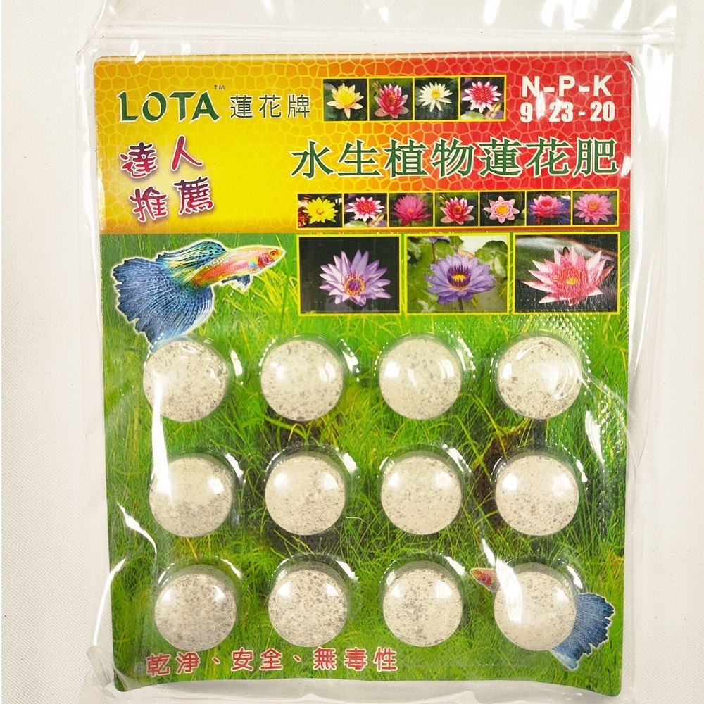 速達園藝 299全館免運 蓮花牌 水生植物 蓮花肥 孔雀魚 水生植物 水耕 水耕肥 荷花肥 錠肥 蓮花盆-規格圖1