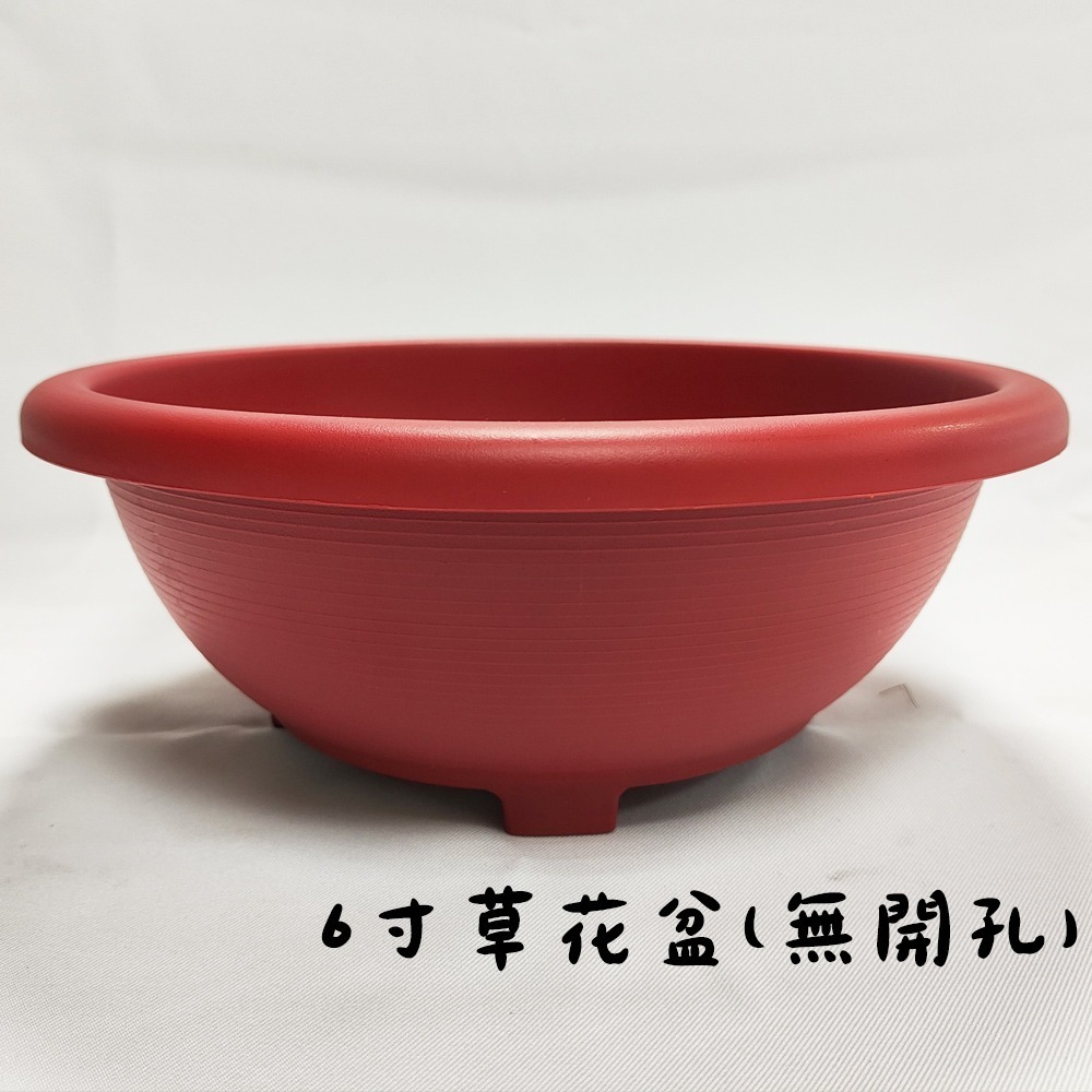 速達園藝 299全館免運 蓮花牌 水生植物 蓮花肥 孔雀魚 水生植物 水耕 水耕肥 荷花肥 錠肥 蓮花盆-規格圖1