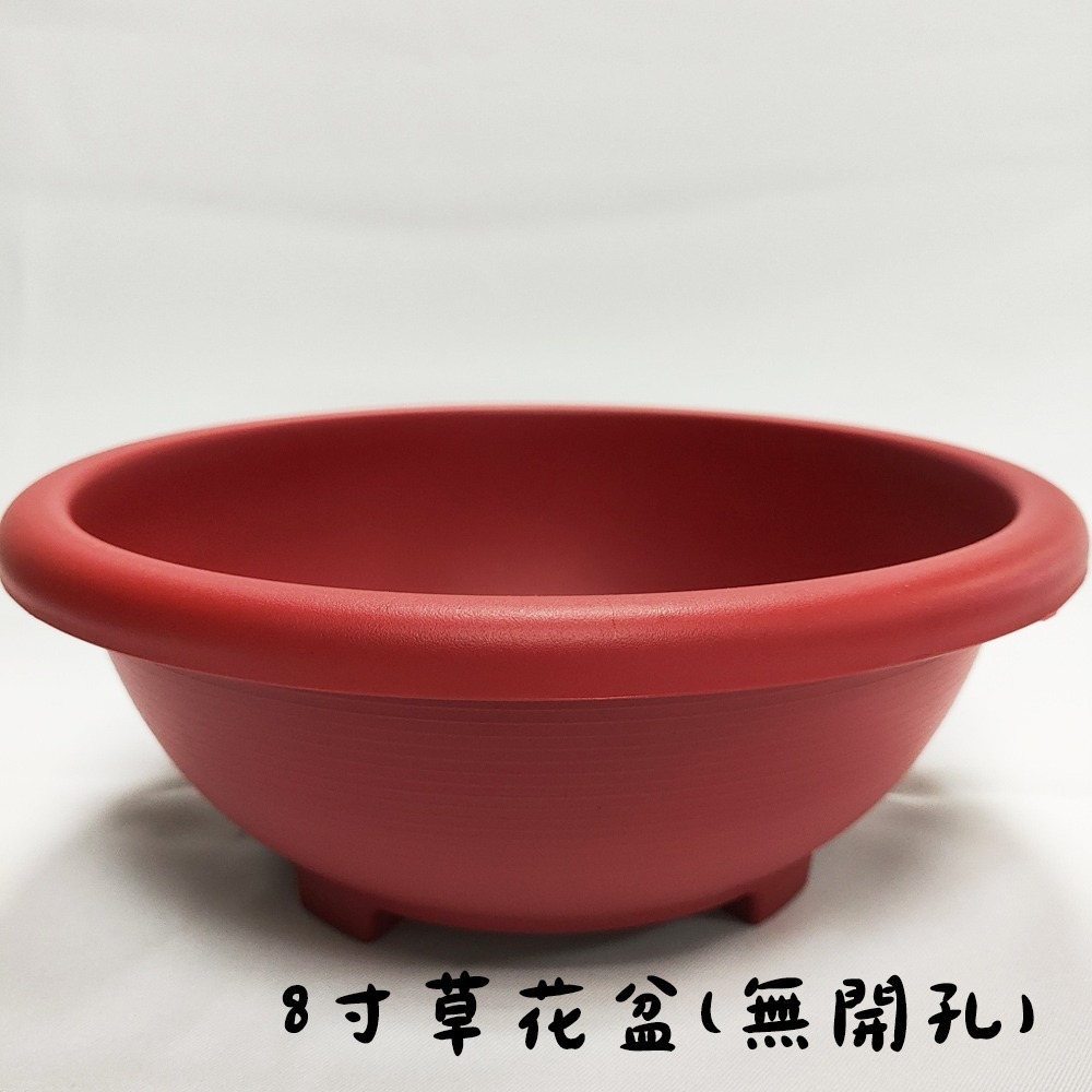 速達園藝 299全館免運 蓮花牌 水生植物 蓮花肥 孔雀魚 水生植物 水耕 水耕肥 荷花肥 錠肥 蓮花盆-規格圖1