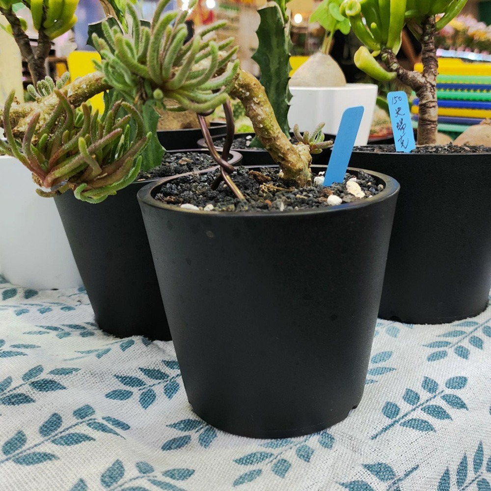 速達園藝 299全館免運 日式花盆 黑膠盆 黑 白 極簡風 低調 奢華 高質感 盆器  草花 多肉 花盆 花器-細節圖2