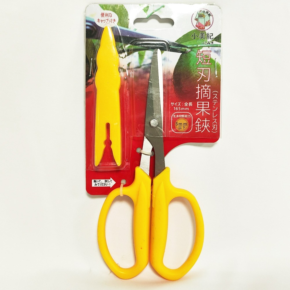 速達園藝 299全館免運 白鋼摘果剪-長短刃 園藝工具 不鏽鋼剪刀 摘果剪刀 多功能剪刀 花枝剪 採果剪-規格圖1