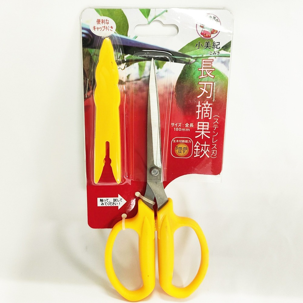 速達園藝 299全館免運 白鋼摘果剪-長短刃 園藝工具 不鏽鋼剪刀 摘果剪刀 多功能剪刀 花枝剪 採果剪-規格圖1