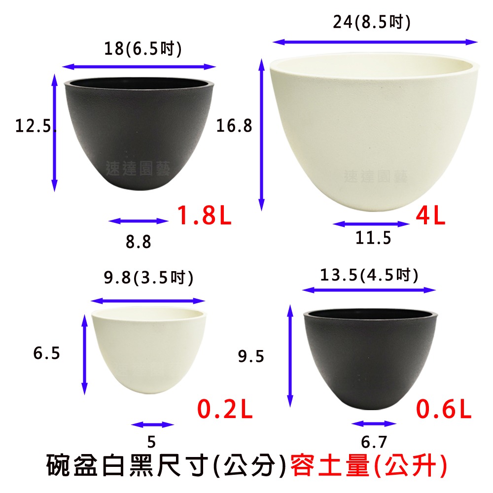 速達園藝 299全館免運 日式碗型 黑 白 龍舌蘭 塊根 觀葉 蘭花 多肉植物 花盆-細節圖5