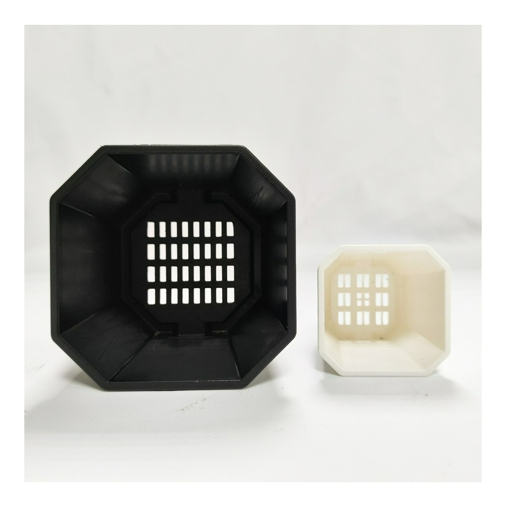 速達園藝 299全館免運 淺八角盆 龍舌蘭 塊根 觀葉 蘭花 多肉植物 花盆-細節圖2