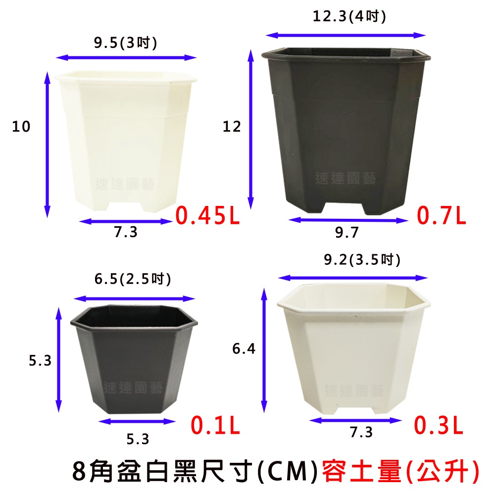 速達園藝 299全館免運 淺八角盆 龍舌蘭 塊根 觀葉 蘭花 多肉植物 花盆-細節圖5