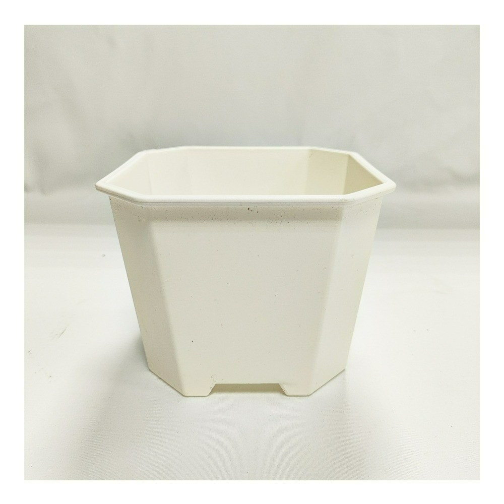 速達園藝 299全館免運 淺八角盆 龍舌蘭 塊根 觀葉 蘭花 多肉植物 花盆-規格圖5