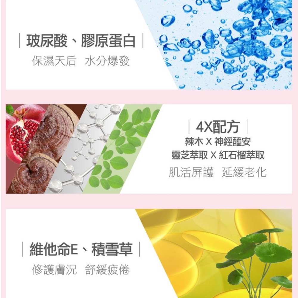 廠商現貨-【蘭吉兒L＇EGERE】光透白水感防護素顏霜 50g-細節圖5