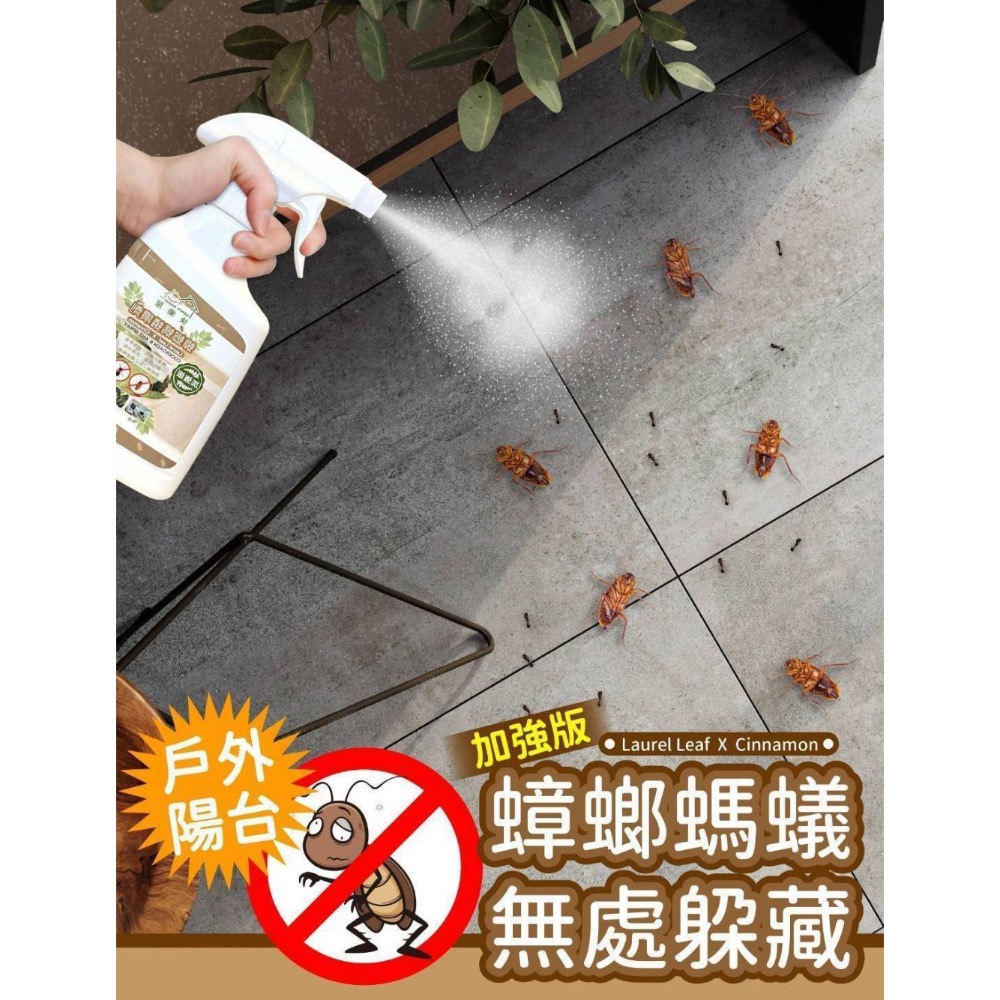 廠商現貨肉桂精油防蟑螂螞蟻噴霧 200ml-細節圖3