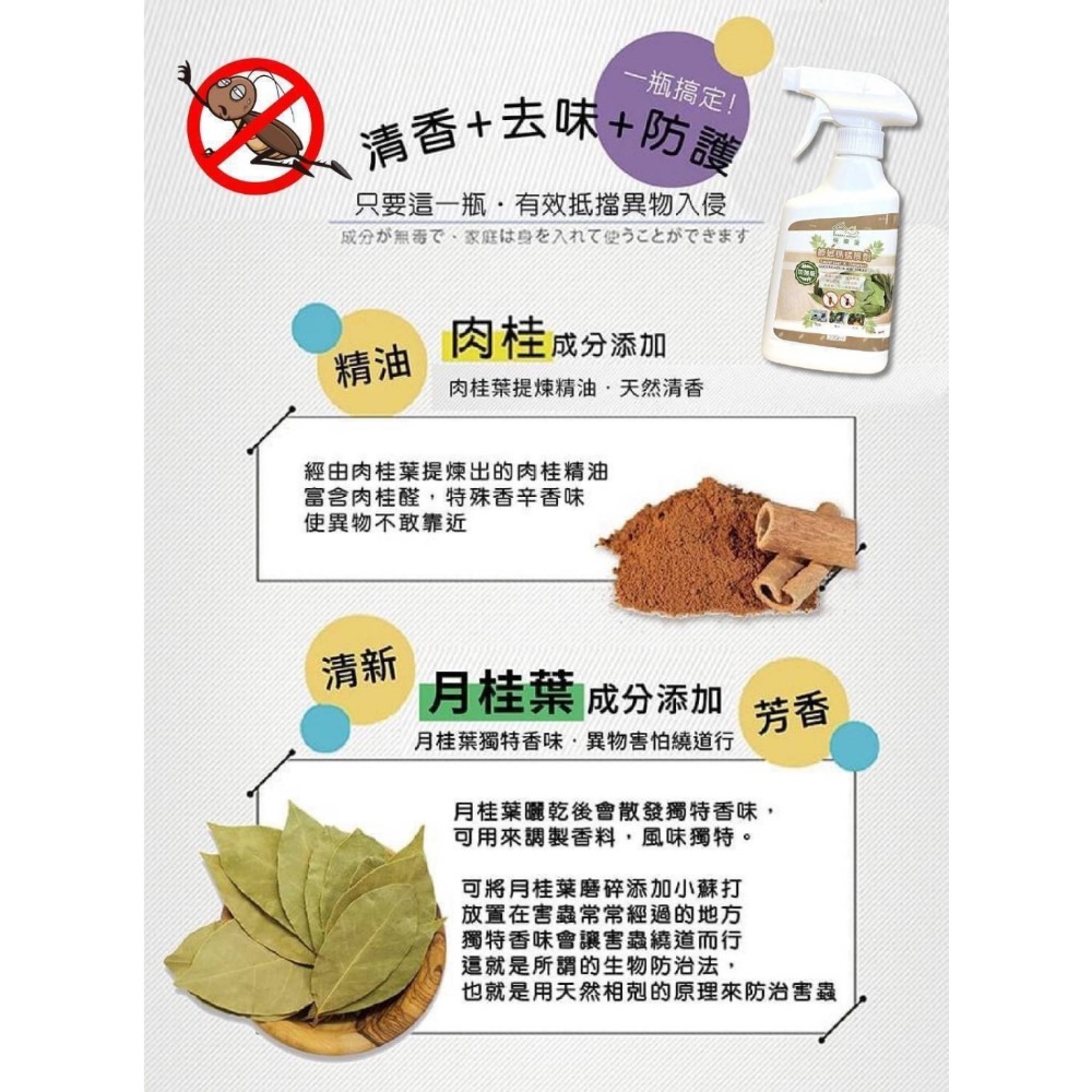 廠商現貨肉桂精油防蟑螂螞蟻噴霧 200ml-細節圖5