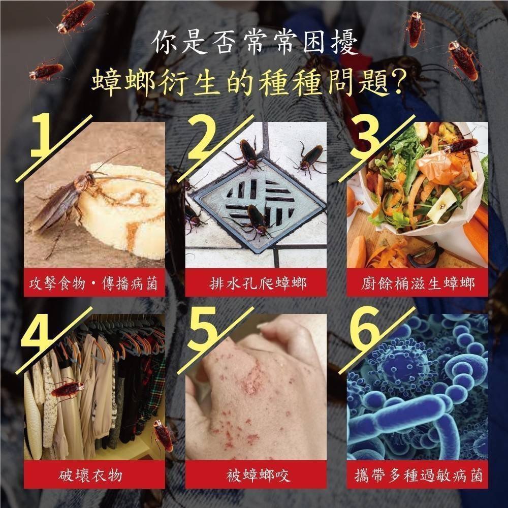 廠商現貨肉桂精油防蟑螂螞蟻噴霧 200ml-細節圖6