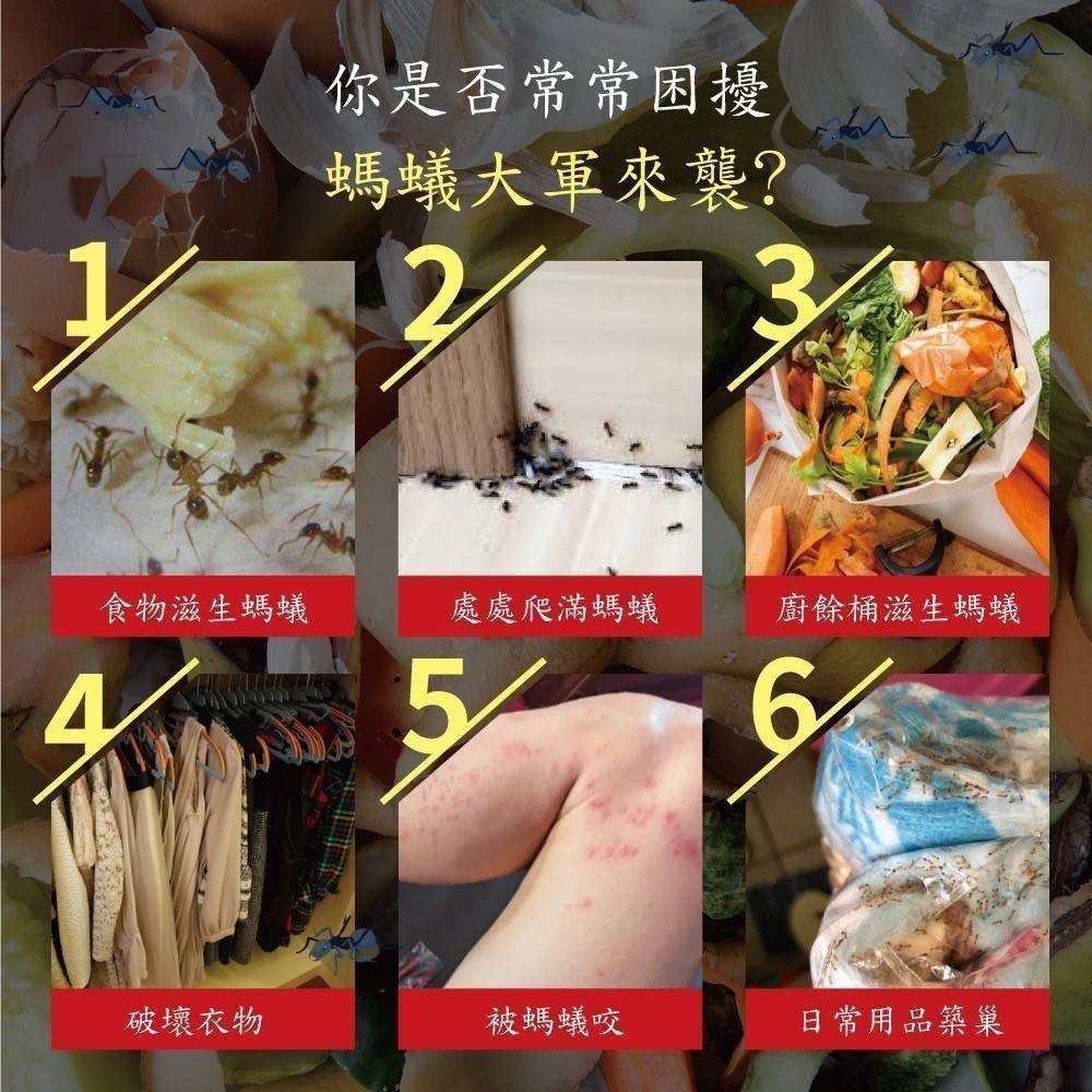 廠商現貨肉桂精油防蟑螂螞蟻噴霧 200ml-細節圖7