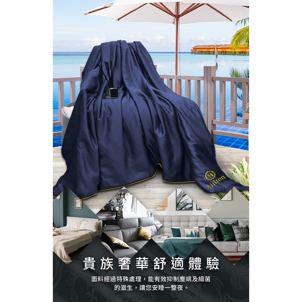 現貨【Hilton 希爾頓】負離子石墨烯水晶能量四季被-細節圖4