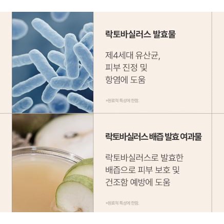 廠商現貨韓國 AVCA 天然乳酸菌 溫和女性清潔慕斯 300ml-細節圖8