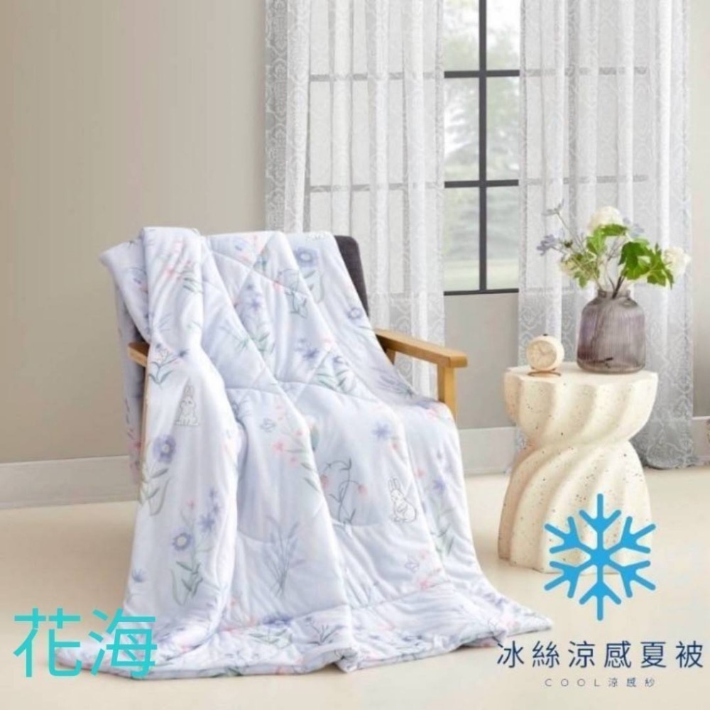 廠商現貨新花色上架❄️超涼感冰冰被冰涼感被❄️(附提袋)《款式隨機》-細節圖2
