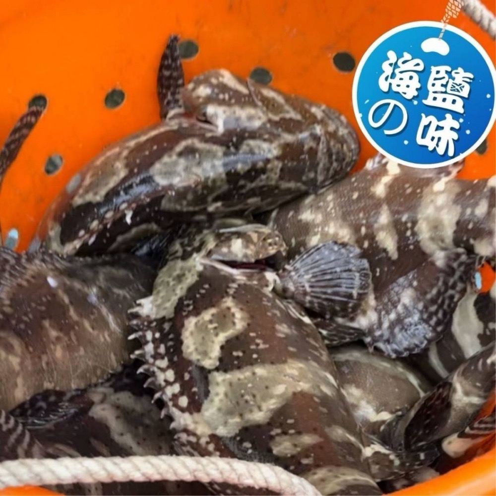 海X撈專用 極致饗宴．龍虎斑涮涮片1箱40包不散賣-細節圖8