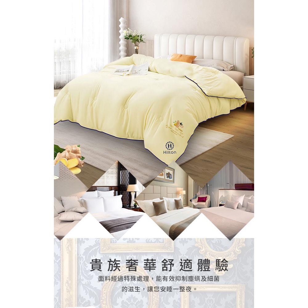 現貨 【Hilton 希爾頓】經典養生生薑被2.5KG-細節圖3