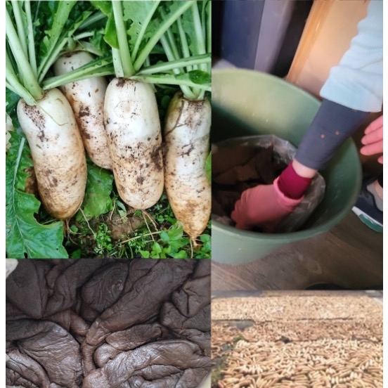 正統苗栗客家20年老菜脯25包以上免運不散賣-細節圖4