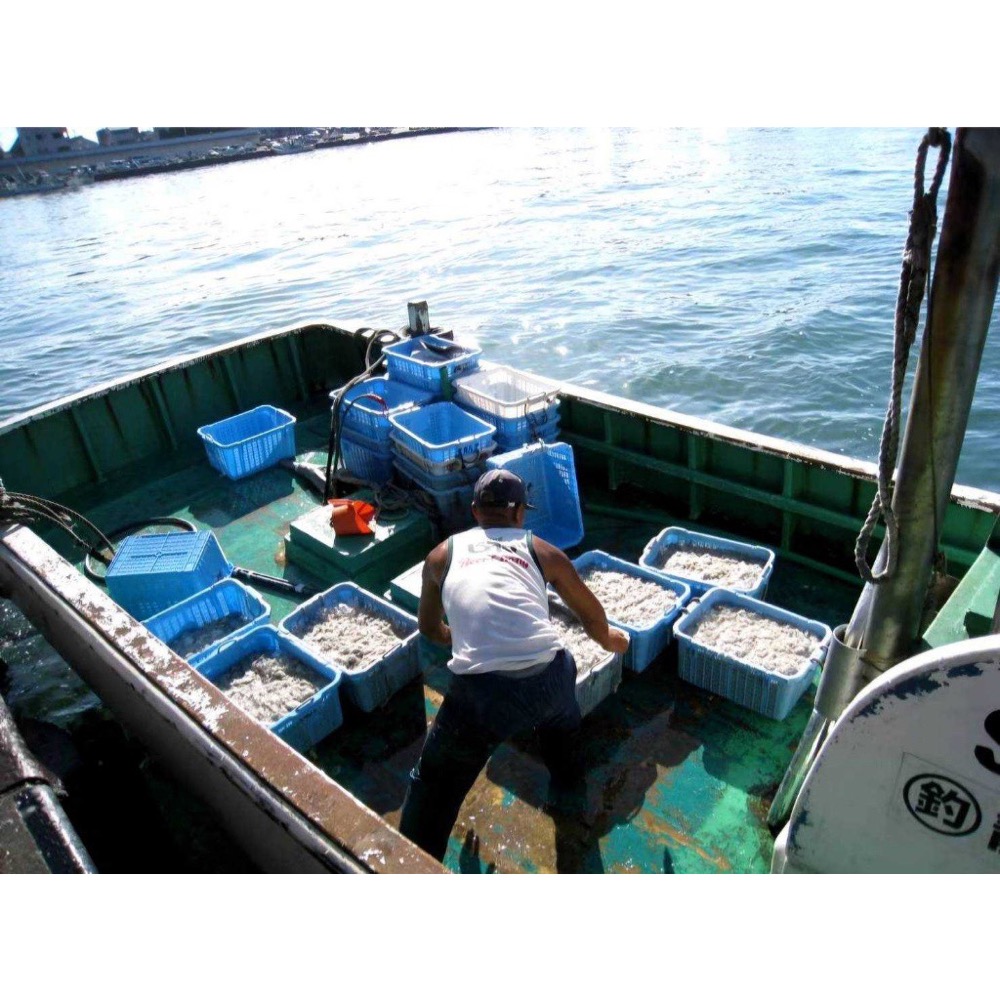 父山白俠 熟凍吻仔魚100g(3包一組) 20組倍數免運，不散出-細節圖2