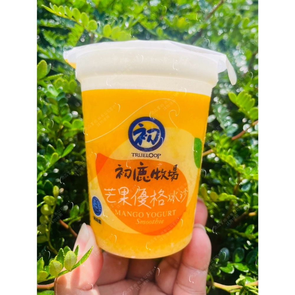長期供應 阿奇儂X初鹿牧場芒果優格(3杯一組) 40組以上免運不散賣-細節圖4