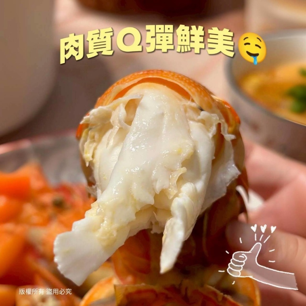 剖半生凍青龍龍蝦/半尾30隻半尾以上免運不散賣-細節圖2