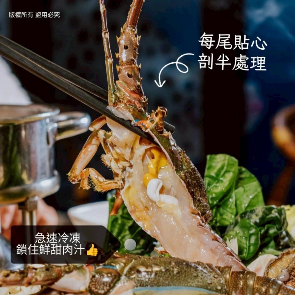 剖半生凍青龍龍蝦/半尾30隻半尾以上免運不散賣-細節圖6