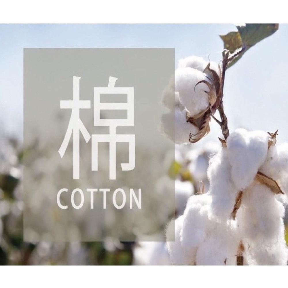 廠商現貨男寬鬆棉質平口褲(花色隨機)【12件/組】-細節圖3