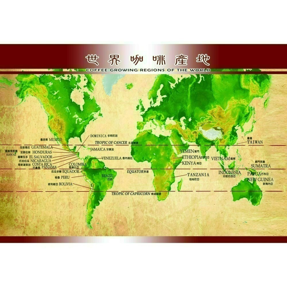 【品皇咖啡】耶加雪菲 | 花神/維拉利卡 | G1精品曼特寧 | 莊園咖啡豆 | 精品咖啡豆 | 淺烘焙-細節圖6