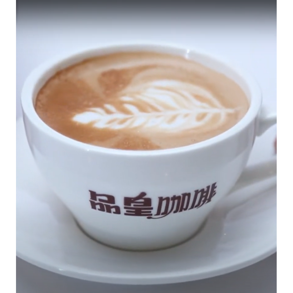 【品皇咖啡】即溶咖啡三合一(含糖)1000公克大容量包裝-細節圖2