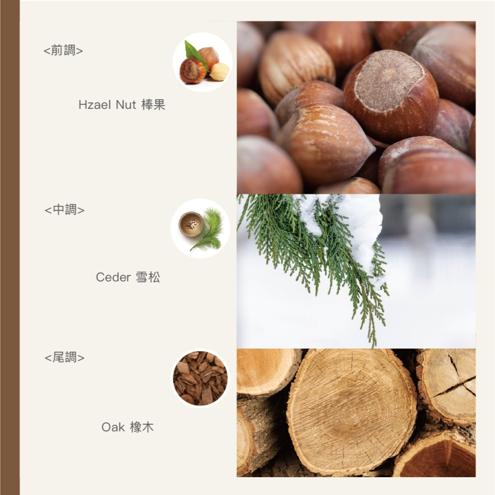 女神香味 英國橡木與榛果 沐浴乳-細節圖4