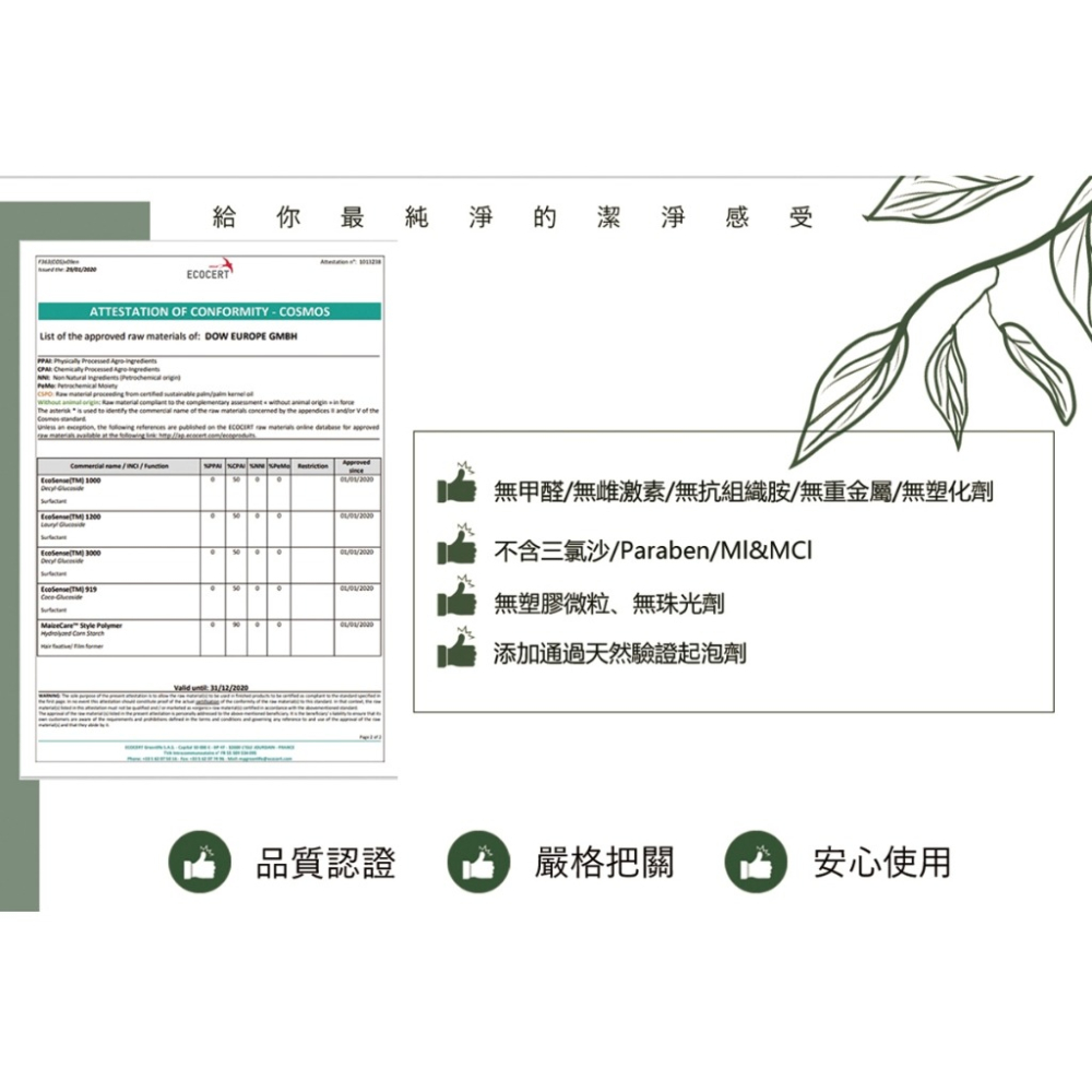 薄荷草本 廣藿香控油洗髮精-細節圖6