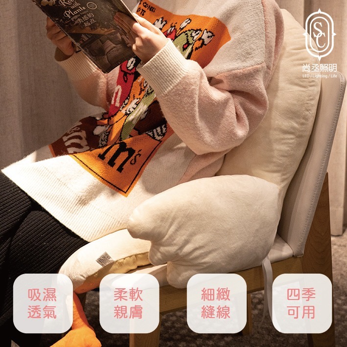 尚丞照明 鵝 坐墊 台灣現貨 靠墊 椅墊 大 可愛 卡通 交換禮物 送禮 柔軟 辦公室 書房 鴨 座墊 娃娃 動物-細節圖2