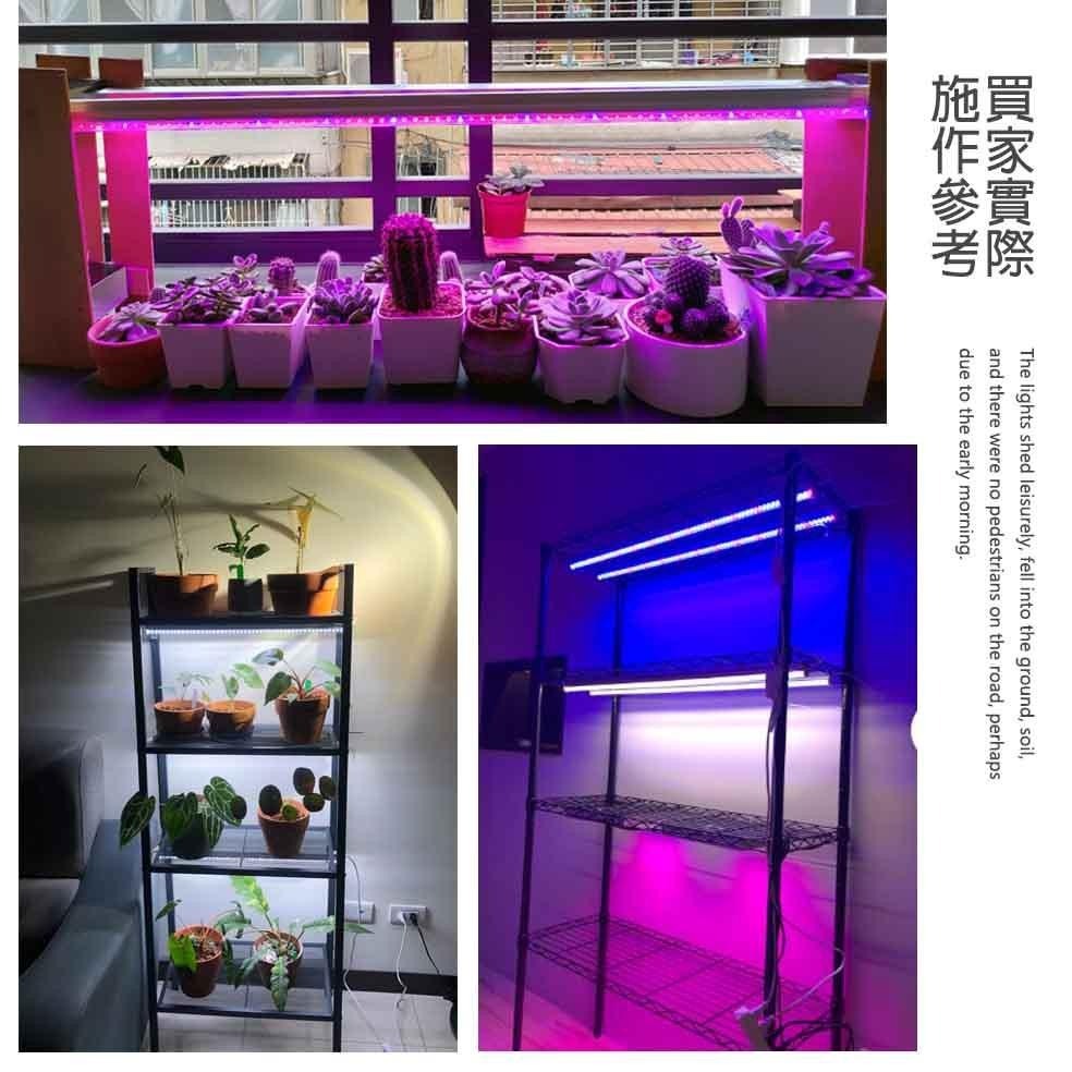尚丞照明 植物燈 台灣現貨 植物催生 燈管 植栽 生長燈 LED T5 補光燈 全光譜 藍光 紅光 多肉 水族燈管-細節圖2
