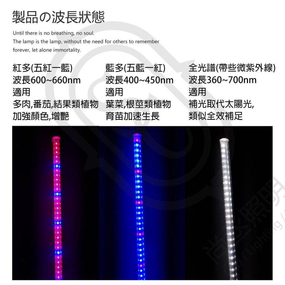 尚丞照明 植物燈 台灣現貨 植物催生 燈管 植栽 生長燈 LED T5 補光燈 全光譜 藍光 紅光 多肉 水族燈管-細節圖4