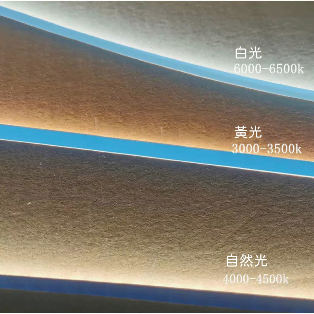 尚丞照明 LED 2835 1燈1剪 軟條燈 裸 不防水 24V 低壓 辦公室 居家 變壓器另購 1捲10米 燈帶-細節圖3