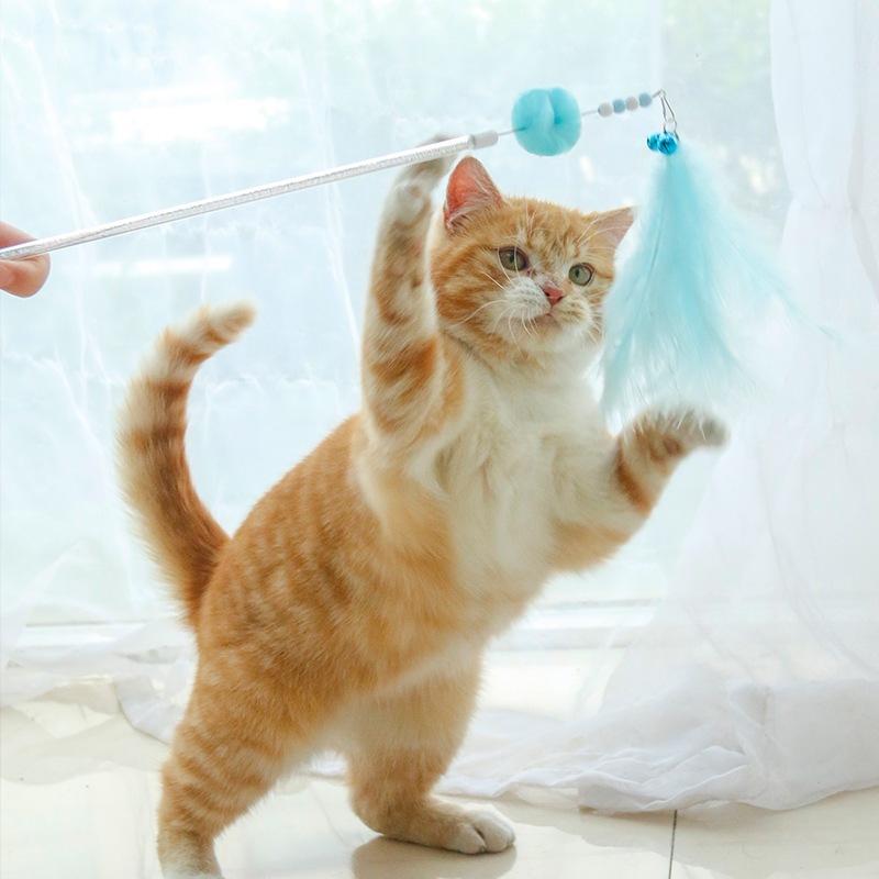 『伊果~現貨秒出』逗貓棒 向陽花逗貓棒 長杆逗貓棒 逗貓 貓咪 自嗨 鈴鐺 貓咪玩具 寵物玩具 寵物用品 流蘇逗貓棒 羽-細節圖2
