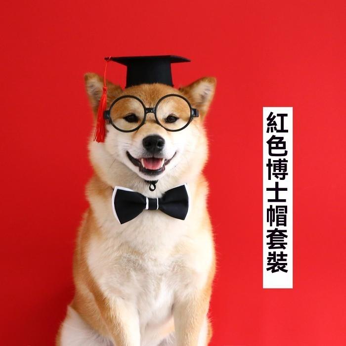 『伊果~現貨秒出』寵物頭套 寵物帽 寵物飾品 狗帽子 貓帽子 寵物頭飾 寵物變裝 寵物衣服 寵物畢業-細節圖2