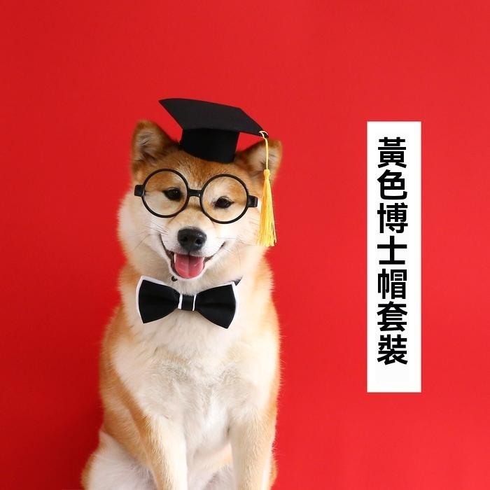 『伊果~現貨秒出』寵物頭套 寵物帽 寵物飾品 狗帽子 貓帽子 寵物頭飾 寵物變裝 寵物衣服 寵物畢業-細節圖3