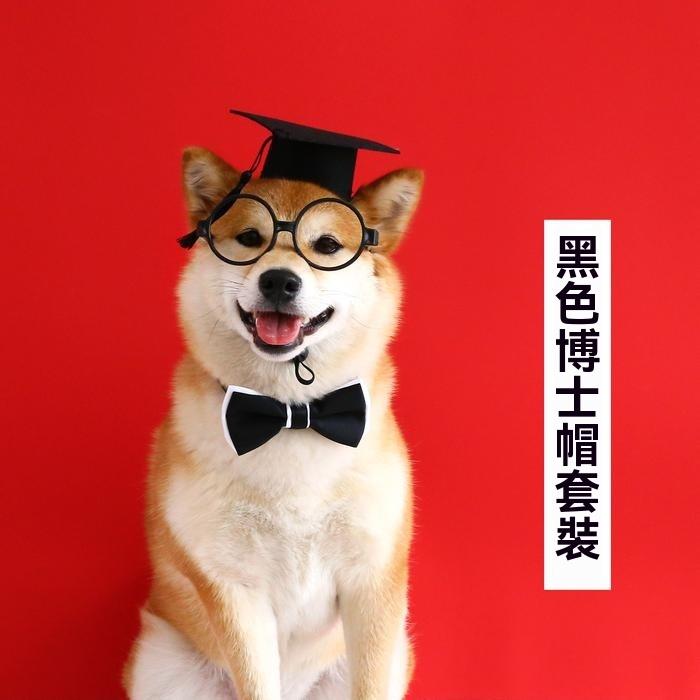 『伊果~現貨秒出』寵物頭套 寵物帽 寵物飾品 狗帽子 貓帽子 寵物頭飾 寵物變裝 寵物衣服 寵物畢業-細節圖4