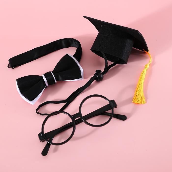 『伊果~現貨秒出』寵物頭套 寵物帽 寵物飾品 狗帽子 貓帽子 寵物頭飾 寵物變裝 寵物衣服 寵物畢業-細節圖6