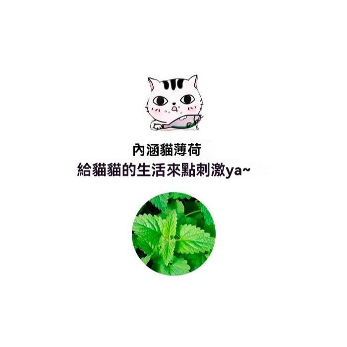 『伊果~現貨秒出』寵物玩具 自嗨 解悶 麻繩玩具 羽毛逗貓 羽毛鈴鐺 耐抓 耐咬 磨牙 磨牙玩具 狗玩具 貓玩具 薄荷草-細節圖6