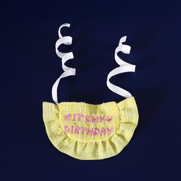 『伊果~現貨秒出』生日帽 寵物頭套 寵物帽 寵物飾品 狗帽子 貓帽子 寵物頭飾 寵物變裝 寵物衣服 刺繡格子-細節圖3