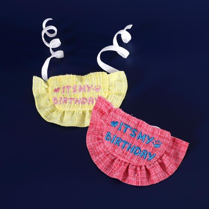 『伊果~現貨秒出』生日帽 寵物頭套 寵物帽 寵物飾品 狗帽子 貓帽子 寵物頭飾 寵物變裝 寵物衣服 刺繡格子-細節圖5